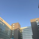 라라키즈 어드벤처 | 강원도 속초리조트 라라키즈 어드벤처, 속초아이대관람차 후기