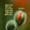 이백1 이미지