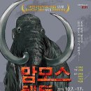 맘모스 - 부천시 원미구 소향로13번길 28-14 | 맘모스