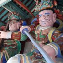 천년 행정사 이미지