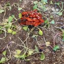 <나만의 한컷, 그림책 만들기> 이미지