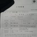 영장 이미지