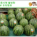 우리청과마트 이미지