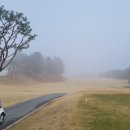 88컨트리클럽연습장 | 골린이 골프장 방문후기(ft. 88컨트리클럽 후기)