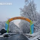 무봉산청소년수련원 눈썰매장 티스토리