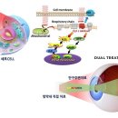 씨엠랩 헬스케어 이미지