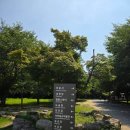화신동백 | 고창 가볼 만한 곳: 천년의 고찰, 도솔산 선운사 주차장 검색