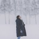 디럭스투어 주식회사 이미지