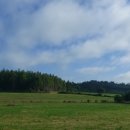 피스테라 이미지