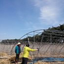 김진근농장 이미지