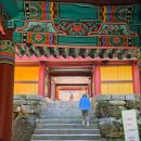 대구 달성군 비슬산에 용연사 다녀온 후기입니다.