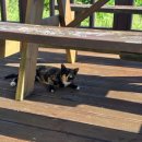 옵타티오펜션 이미지