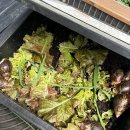 한터농원영농조합 이미지