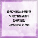 오독안심분양센터 강아지분양 고양이분양 인천점 | 출처가 확실해 안전한 오독안심분양센터 강아지분양 고양이분양 인천점 인천강아지분양