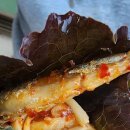 다랭이해바라기맛집 이미지