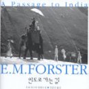 인도로가는길 이미지