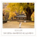 만날고개1길 | 경북 단풍명소 근교 숨겨진 가을 국내 여행지 BEST 3