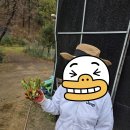 아작애드