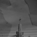 희망교회 이미지