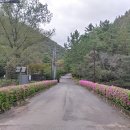 울산암각화박물관 이미지