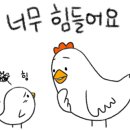 설뫼충효테마파크 캠핑장 이미지