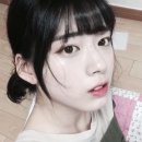 신세휘 카카오 검색결과