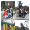 희수목장 Daum카페