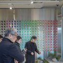 아엘시즌 이미지