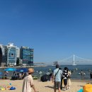 남천1-214 | 부산 정복
