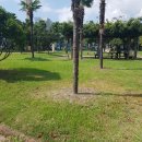 강남정공원 이미지