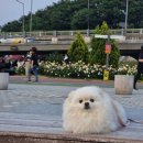 직업상담사 문제풀이 - 노동관계법규 | 직업상담사 2급 필기시험 강의 없이 합격후기