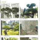 (주)희망나무종합병원 이미지