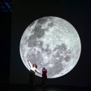 딜라이트 - 천안시 서북구 삼은5길 5 | 딜라이트 담양 후기, 담양 실내 가볼 만한 곳 미디어아트 전시