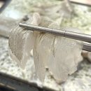 안락시장 이미지