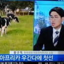 오피아 이미지