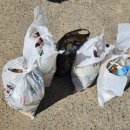 인천용마초등학교 이미지