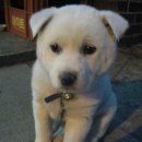 사천농협주유소 이미지