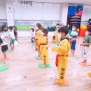 태권도 오송 정도장 이미지