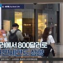 아주여행㈜ 이미지