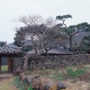 상모리-10 이미지