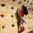 종합운동장 인공암벽등반 이미지