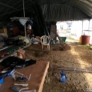 윤지농장 이미지