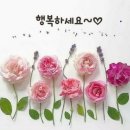 대한안경원(초월역점) 이미지