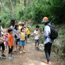 순천자연휴양림 이미지