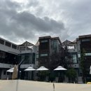 와우하우스 이미지