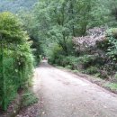 곰바우농장 이미지