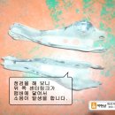 대성카정비센터 이미지