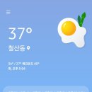 김민성 동물병원 이미지
