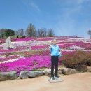 생초 국제 조각공원 꽃잔디 축제 ( 경남 산청 ) 이미지