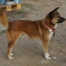 검산농장 이미지